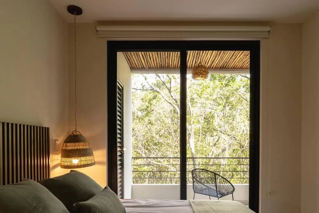 New 1 Bedroom - 图卢姆 公寓