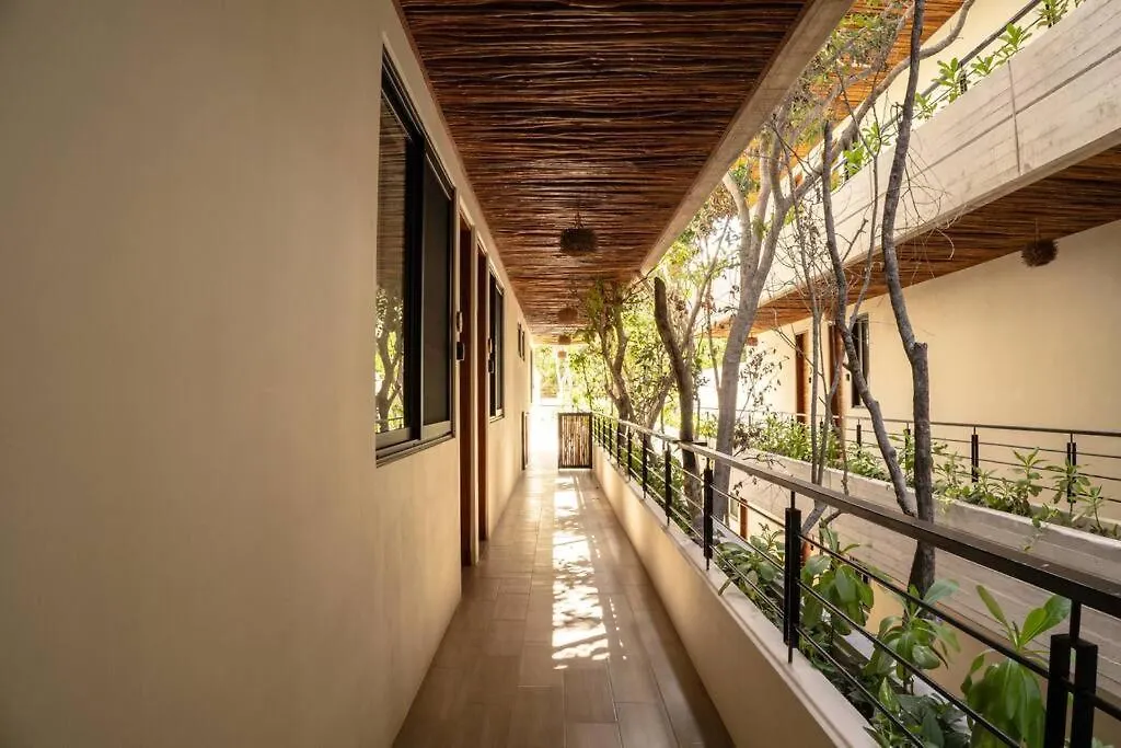 New 1 Bedroom - 图卢姆 公寓